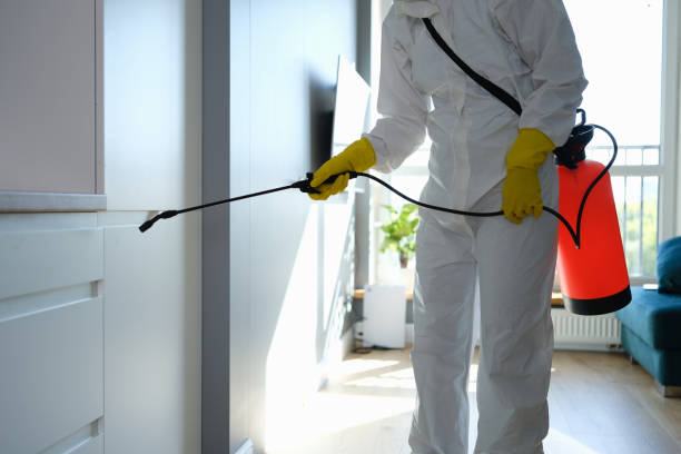 Pest Control for Warehouses in Colorado City, TX